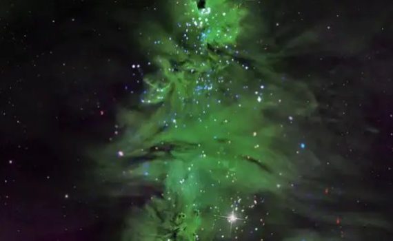 Christmas tree in space (NASA, NGC 2264)