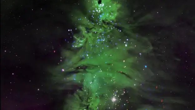 Christmas tree in space (NASA, NGC 2264)